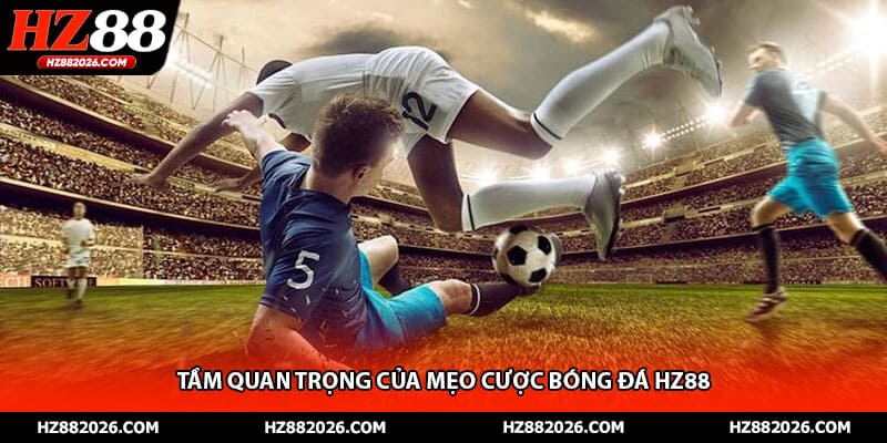 Tầm quan trọng của mẹo cược bóng đá HZ88